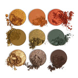 Safari Raine Palette Eyeshadow Makeup Cosmetic K